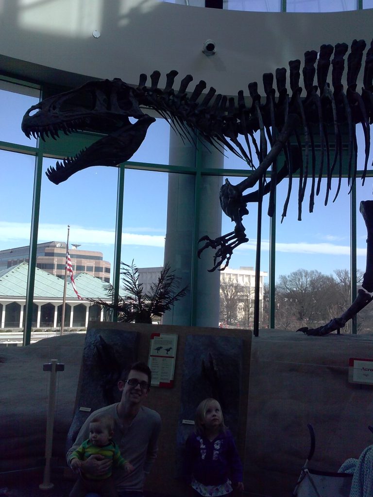 Dino at museum