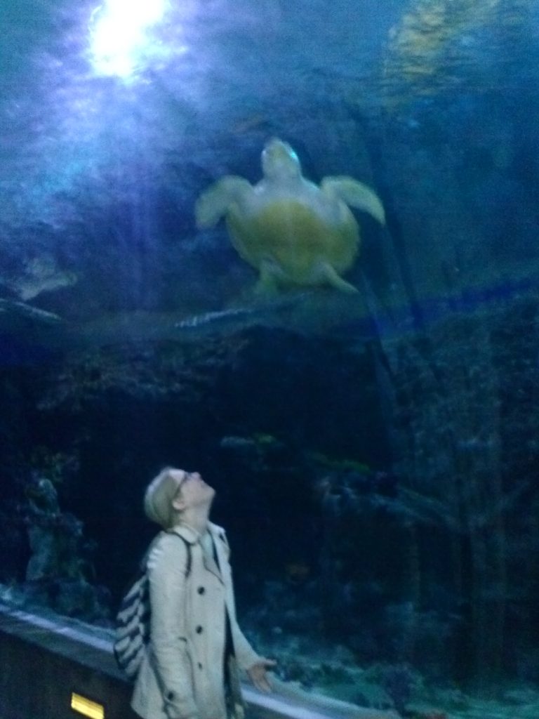 This is me at the aquarium with my soul-mate-turtle. We totally made eye-contact! Josh made sure that the event was documented!