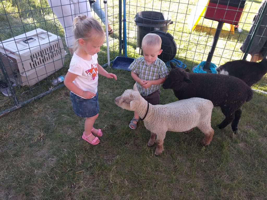 The big kids at a petting zoo. It was pretty adorable to watch them with the baby animals!