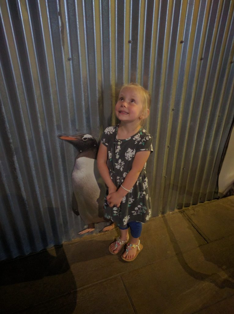 Fay posing with a penguin. She has a hard time looking at the camera in pictures.